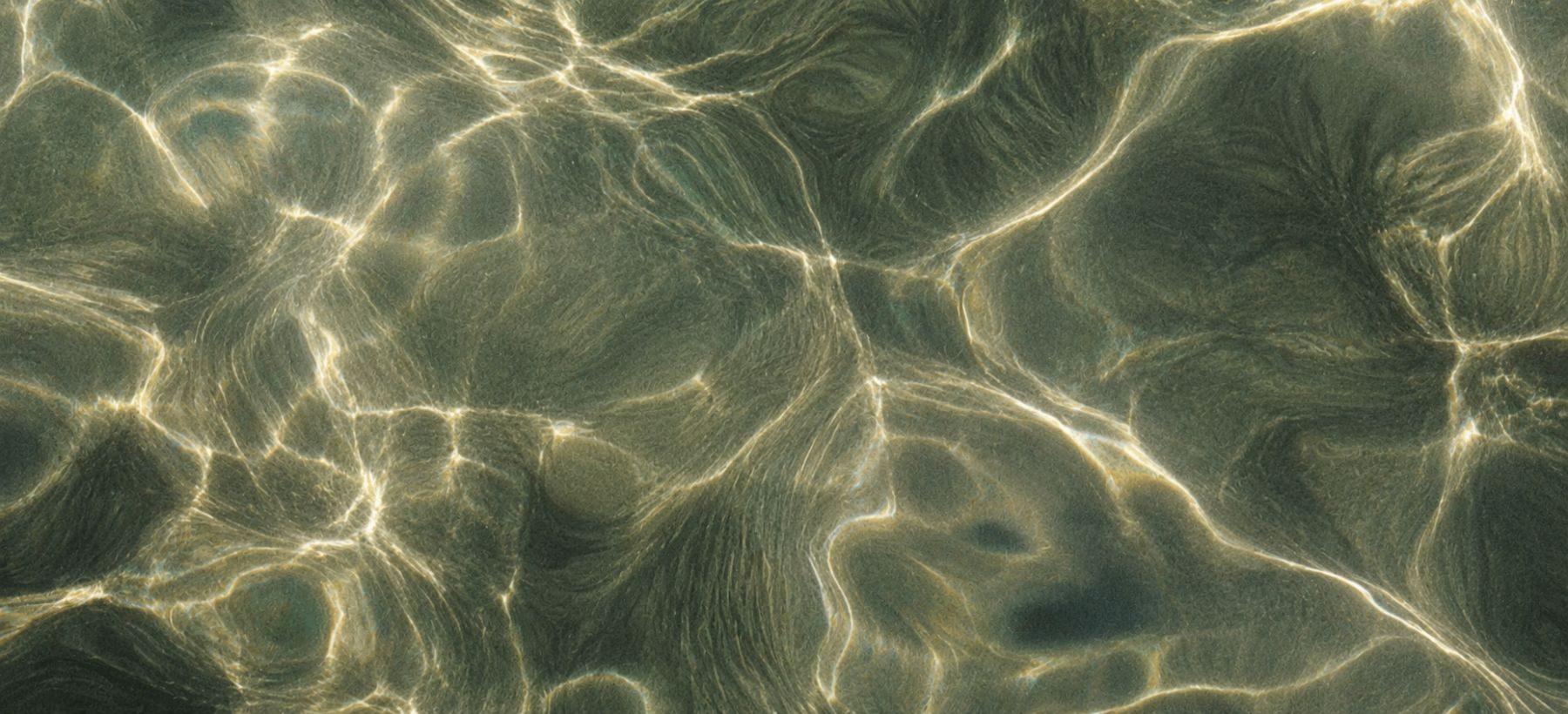 Sunlight on clear water