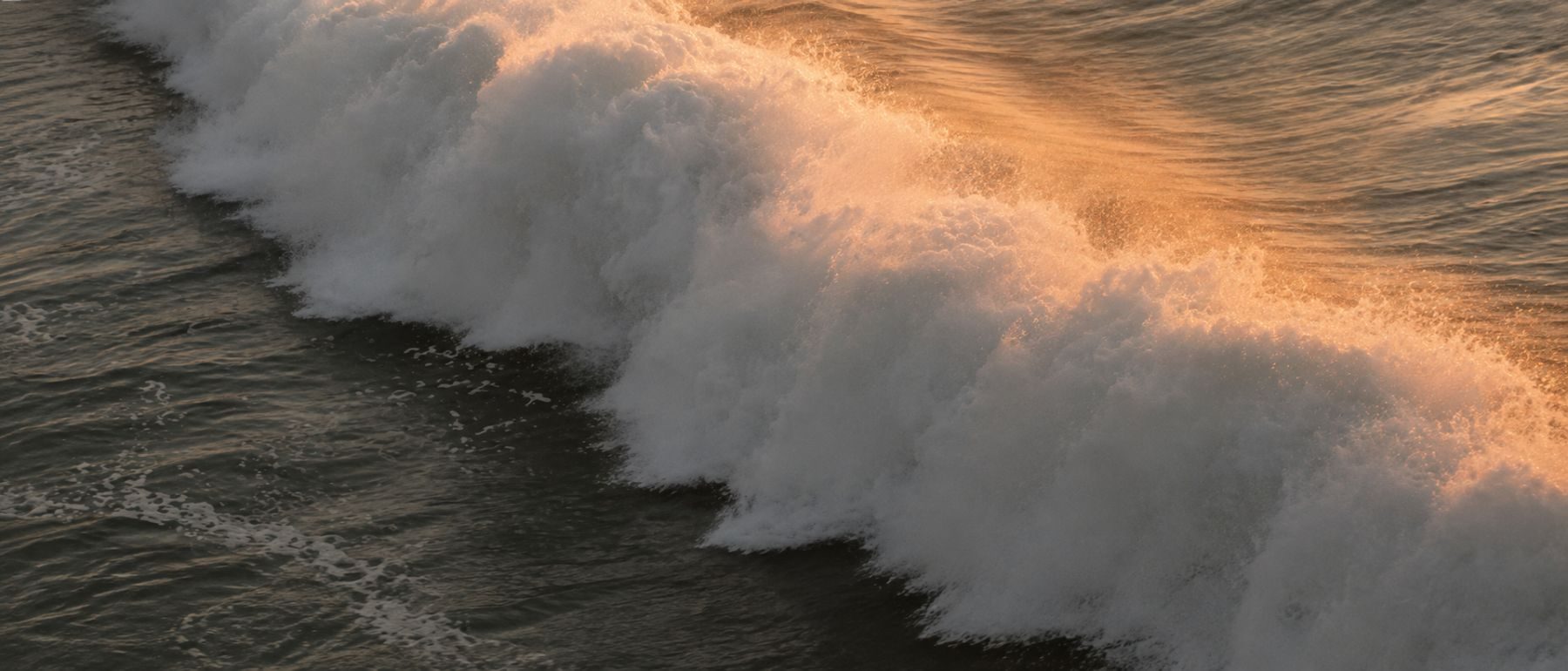 A wave at dusk